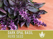 Dark Purple Opal Basil Heirloom Seeds - Culinary Herb, Non-GMO, Open Pollinated