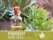 Wormwood Organic Medicinal Herb Seeds - Artemisia Absinthium, Heirloom, Non-GMO