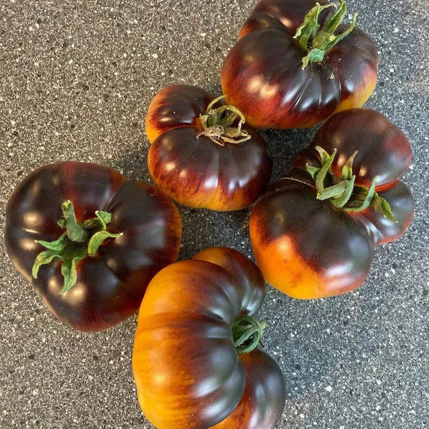 Lucid Gem Tomato Seeds, Beefsteak Tomatoes, Heirloom Tomatoes, Organic Seeds