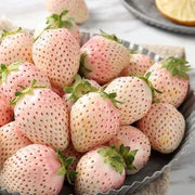 🍓Cream Giant Strawberry Seeds -- Various shapes & Natural juices🥤-Clearance sale