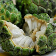 Custard Apple Annona Squamosa Seeds - Sugar Apple, Sweetsop