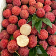 💝💝Seedless Lychee Seeds