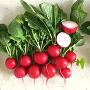 🍒🥕Radish Cherry Belle