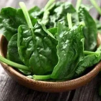 Four seasons large leaf spinach seeds