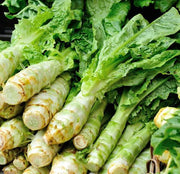 Italian Asparagus lettuce vegetable seeds