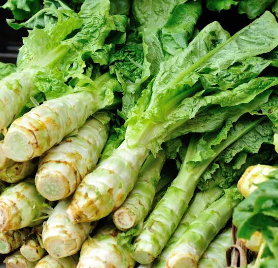 Italian Asparagus lettuce vegetable seeds
