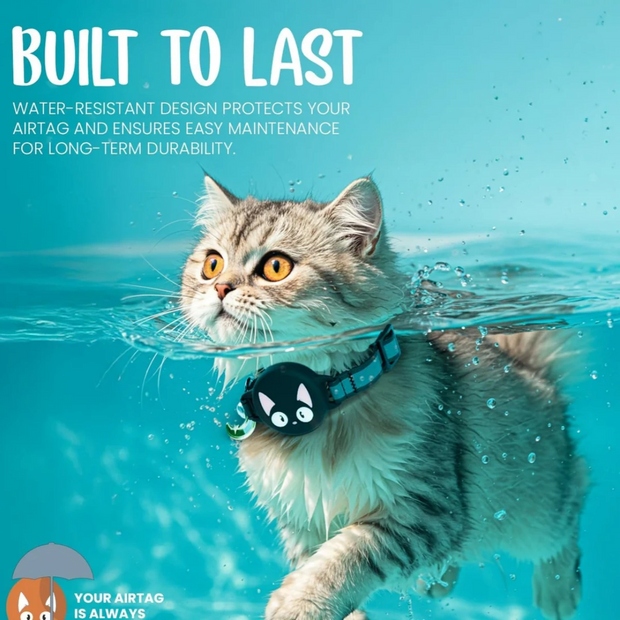 Cat anti-wandering positioning collar