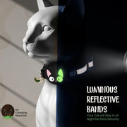 Cat anti-wandering positioning collar