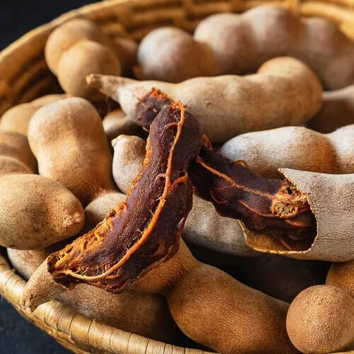 Grow Your Own Tamarind Tree🌿 – Unique Flavors, Low Maintenance