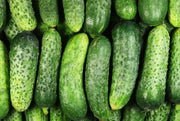 Big Sale -Crisp Cucumbers Seeds