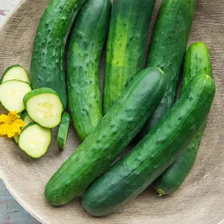 Big Sale -Crisp Cucumbers Seeds